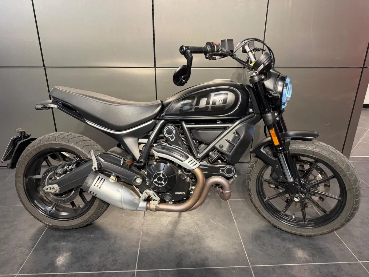 Ducati Scrambler 800 Icon (2023 - 24) (2)