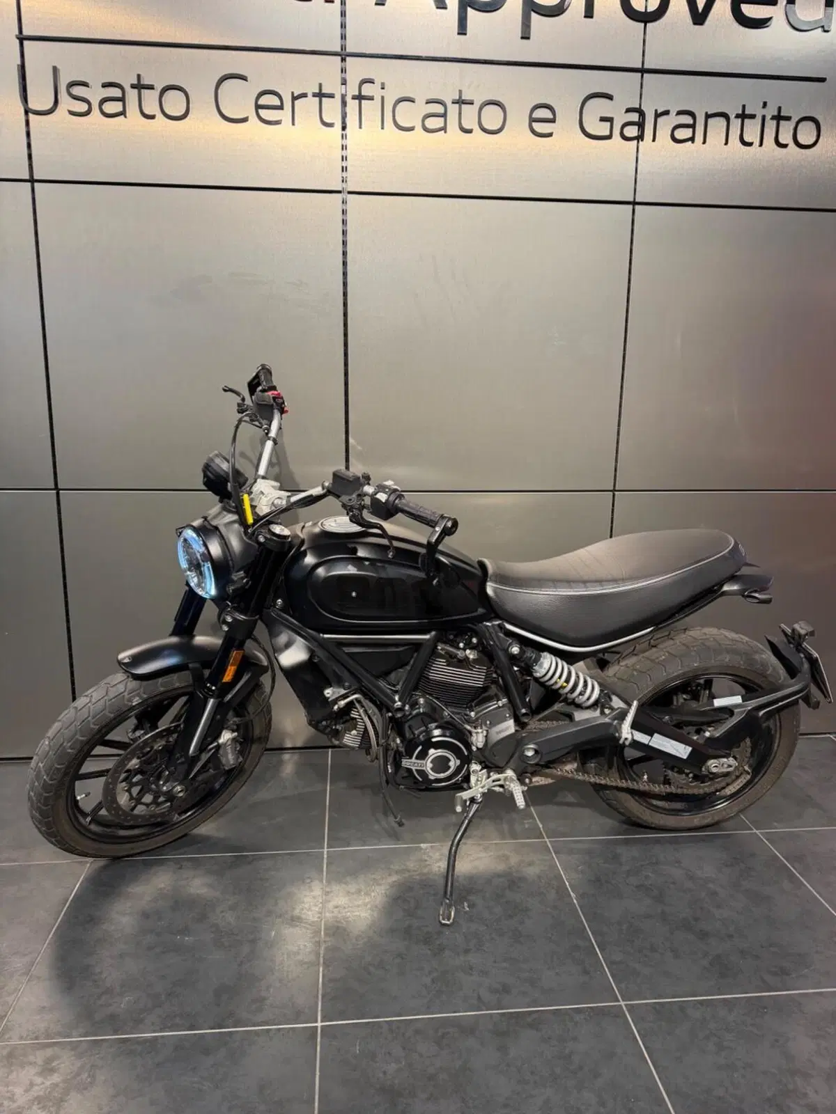 Ducati Scrambler 800 Icon (2023 - 24) (4)