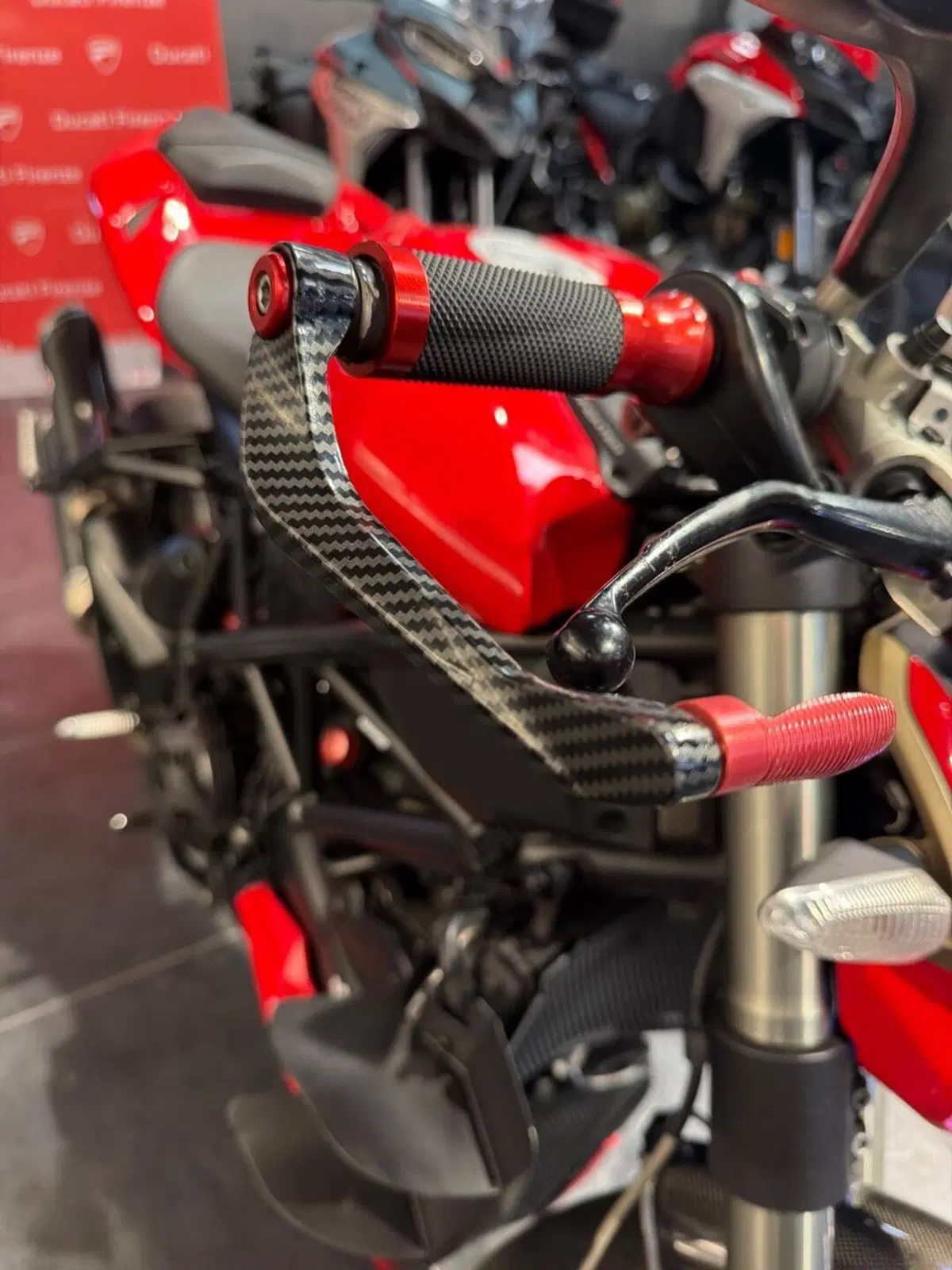 Ducati Streetfighter (2009 - 12) (18)