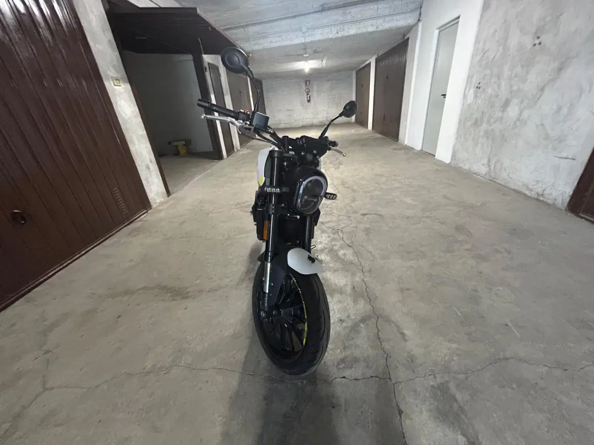 Benelli Leoncino 250 (2021 - 25) (2)