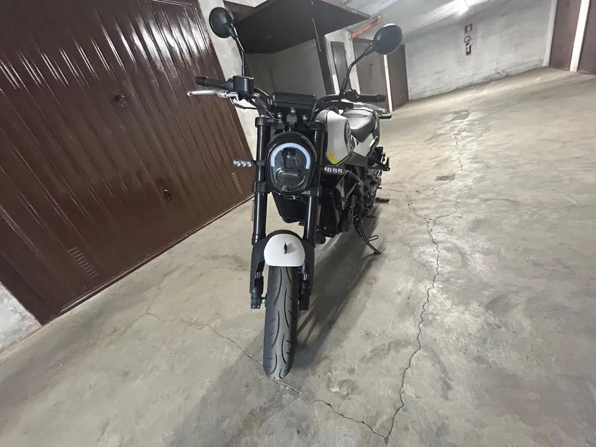 Benelli Leoncino 250 (2021 - 25) (3)