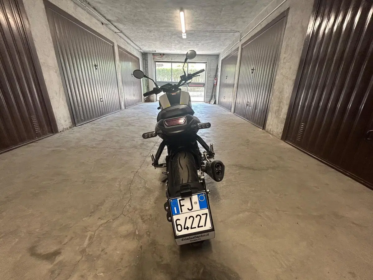Benelli Leoncino 250 (2021 - 25) (4)