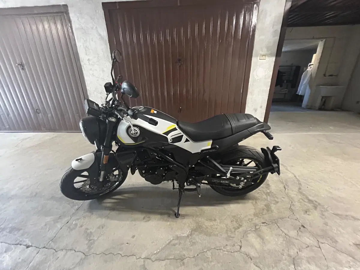 Benelli Leoncino 250 (2021 - 25) (5)