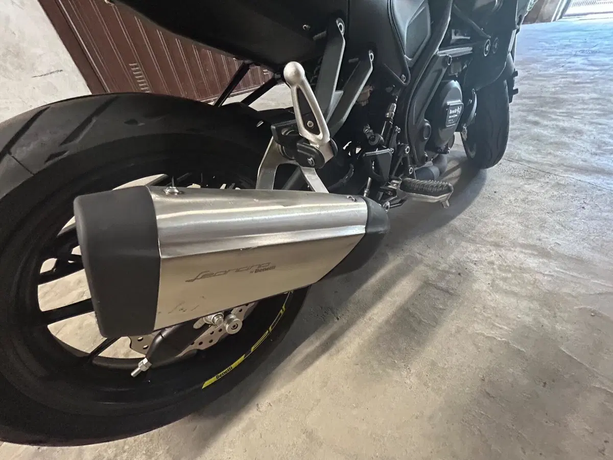 Benelli Leoncino 250 (2021 - 25) (6)