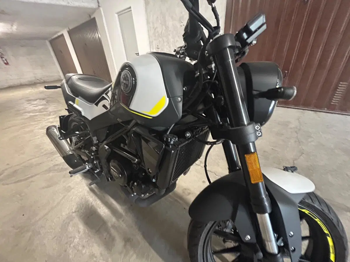 Benelli Leoncino 250 (2021 - 25) (8)