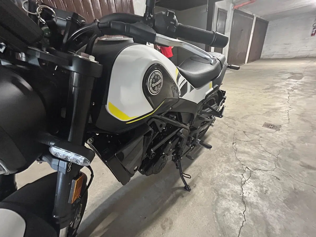 Benelli Leoncino 250 (2021 - 25) (9)