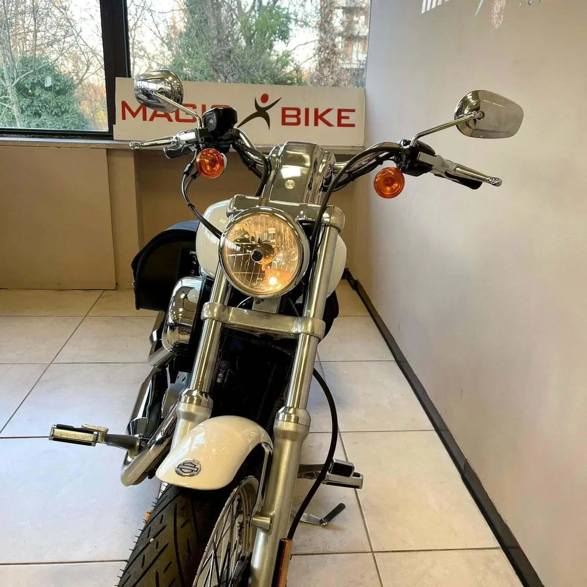 Harley-Davidson 883 Low (2008 - 12) - XL 883L (4)