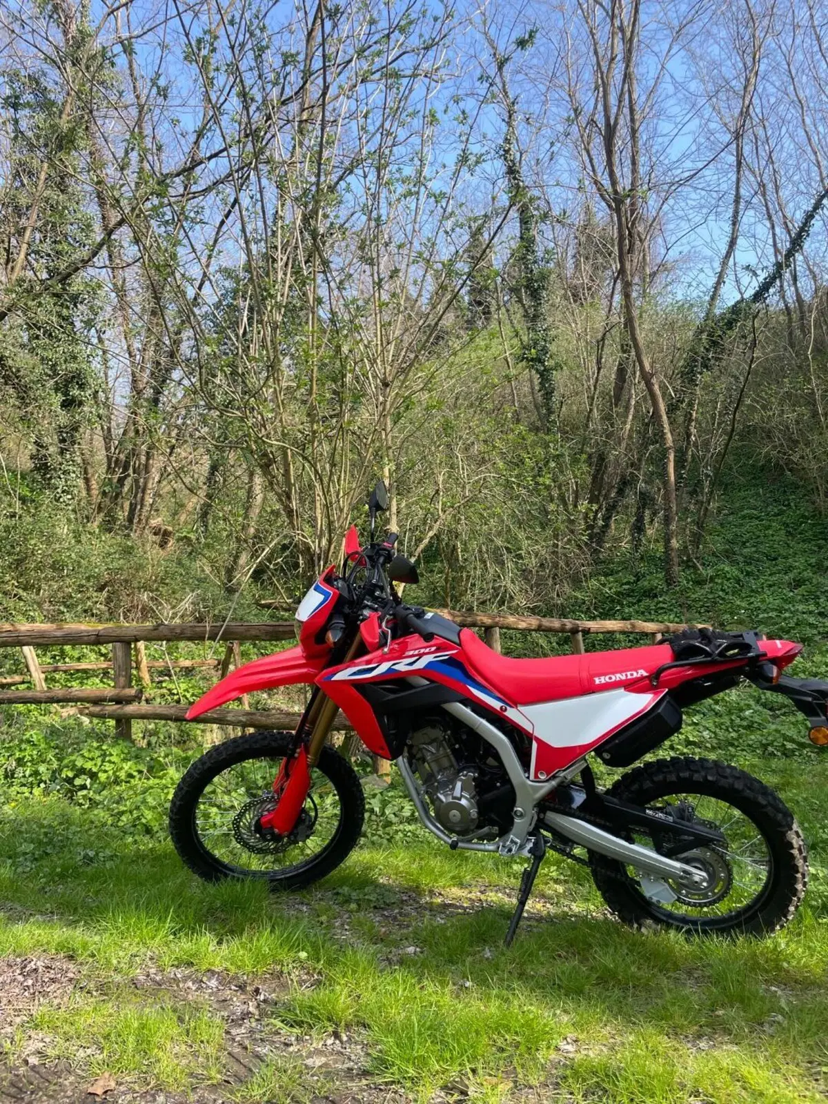 Honda CRF 300L (2021 - 24) (3)