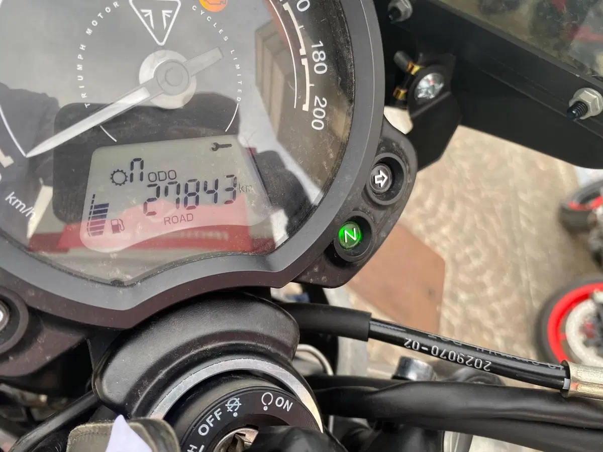 Triumph Speed Twin 900 (2023 - 24) (3)