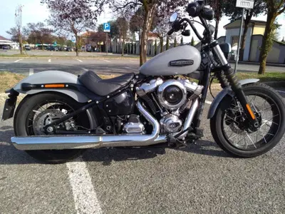 Harley-Davidson Street Bob 117 (2025 - 26) usata