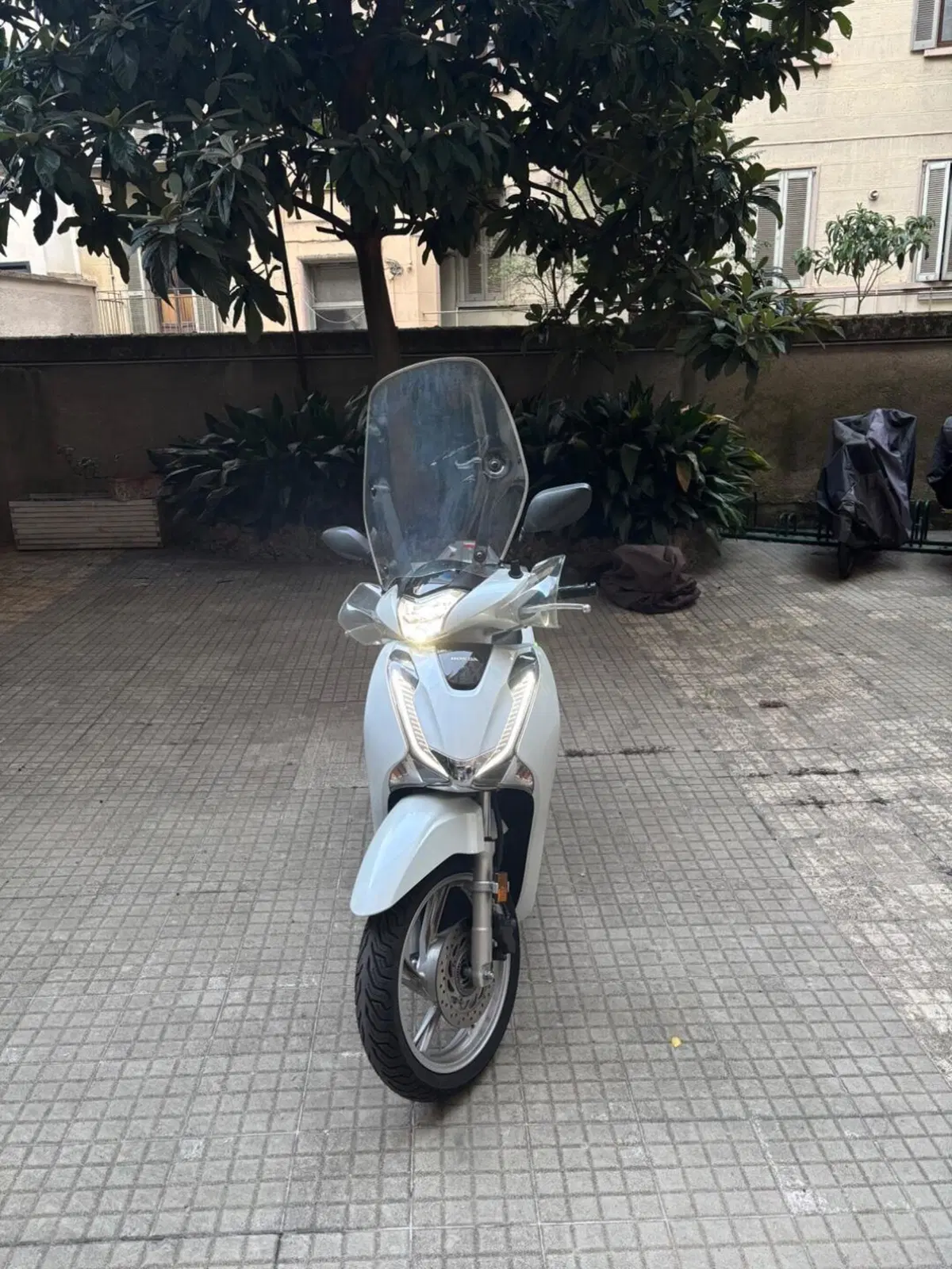 Honda SH 125i (2017 - 19) (2)