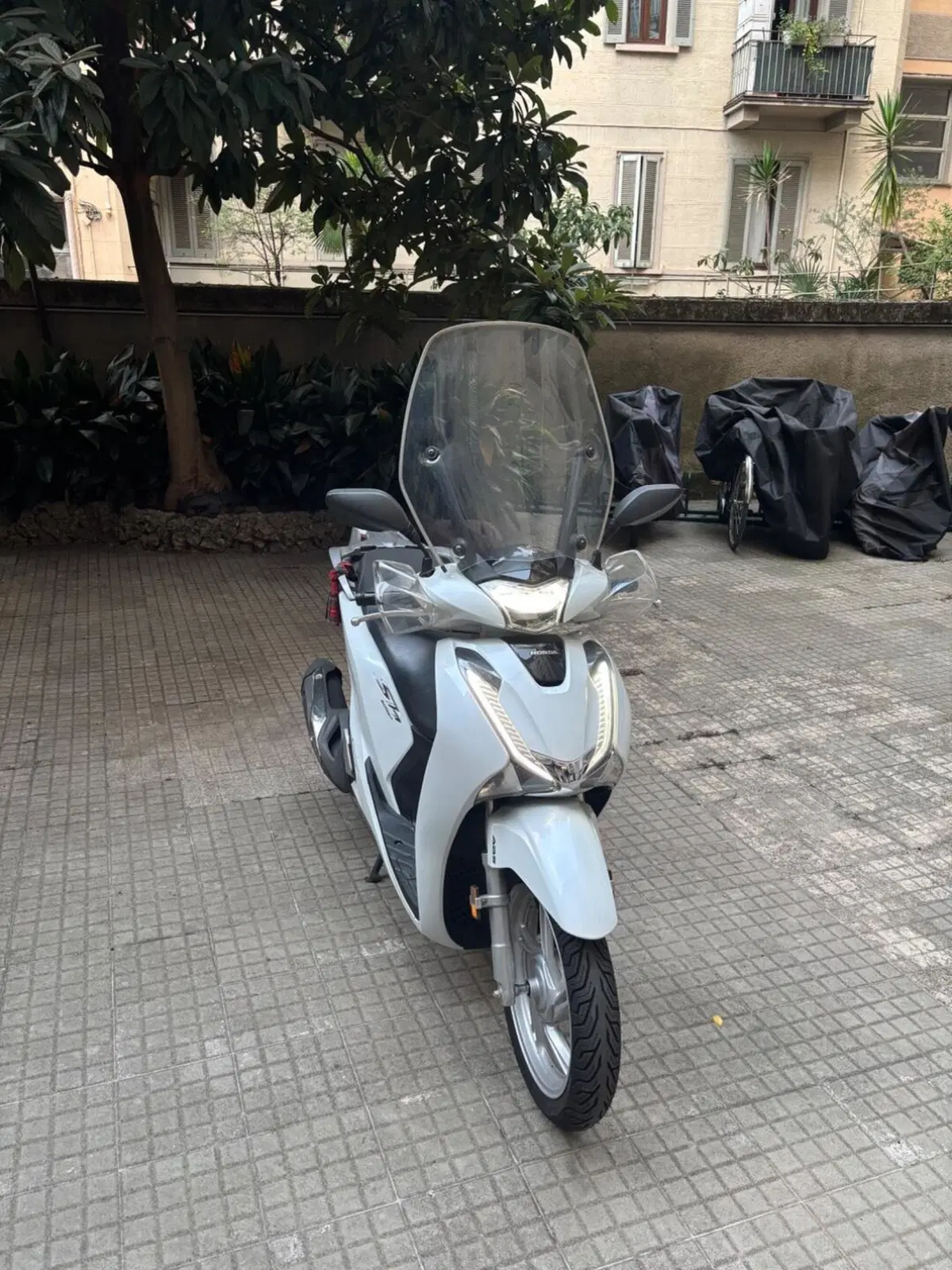 Honda SH 125i (2017 - 19) (4)