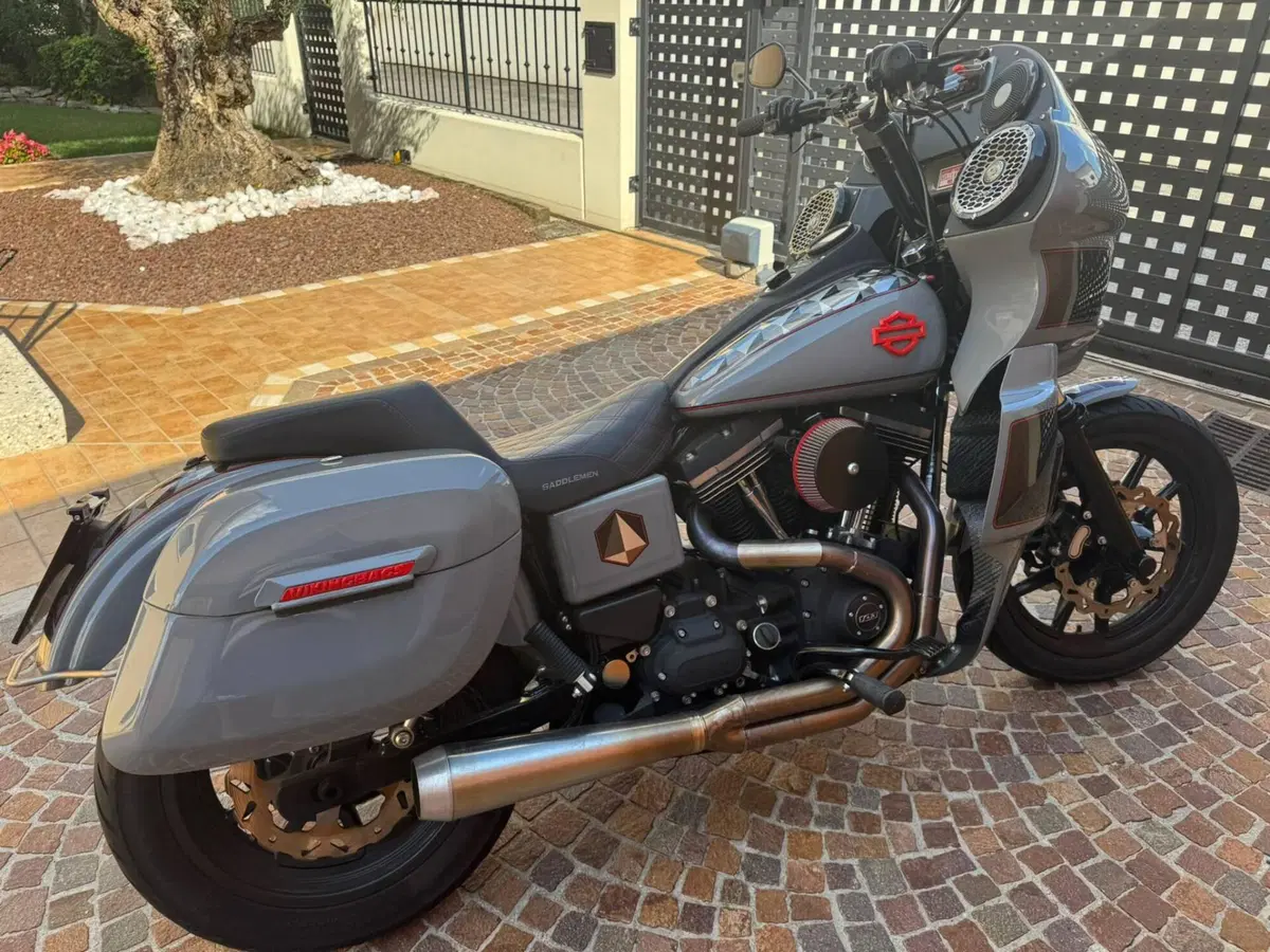 Harley-Davidson 1690 Super Glide Custom (2014) - FXDC (3)