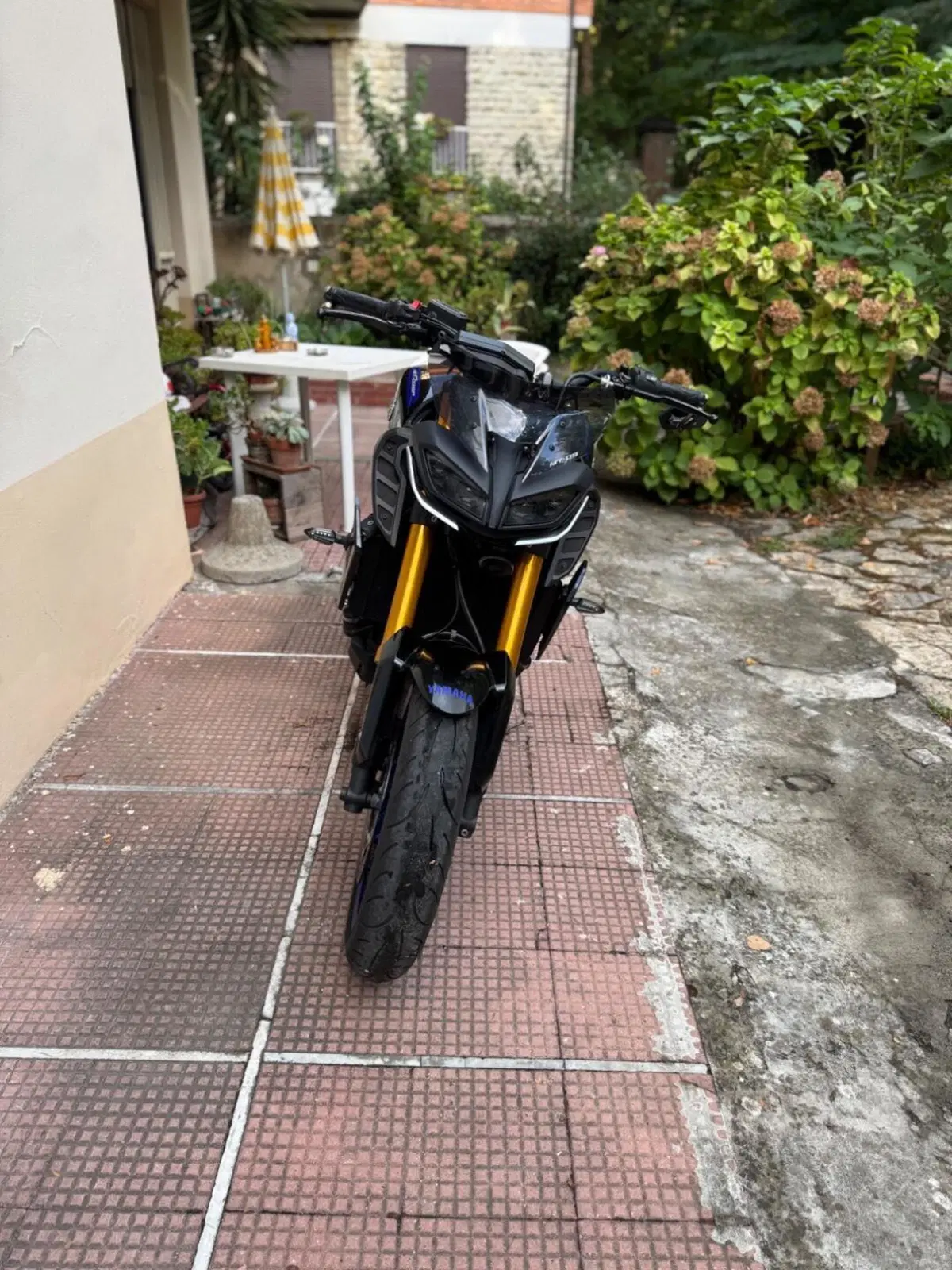 Yamaha MT-09 SP (2018 - 20) (3)