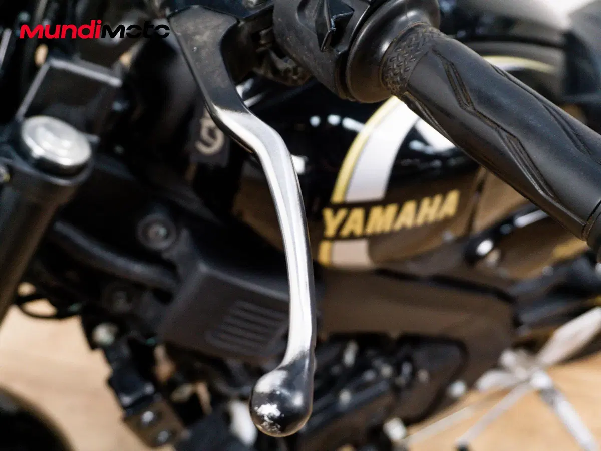 Yamaha XSR 125 Legacy (2022 - 24) (15)