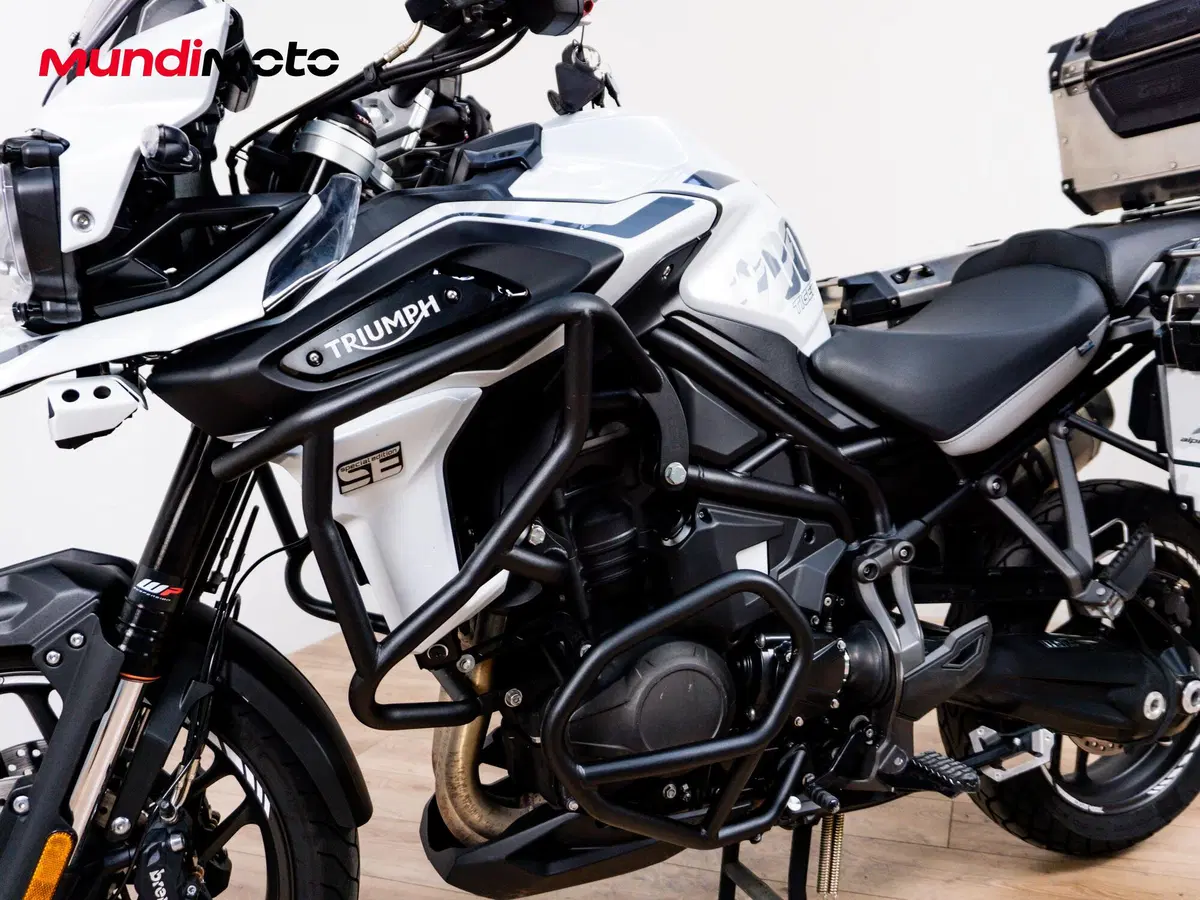 Triumph Tiger 1200 Alpine Edition (2020) (9)