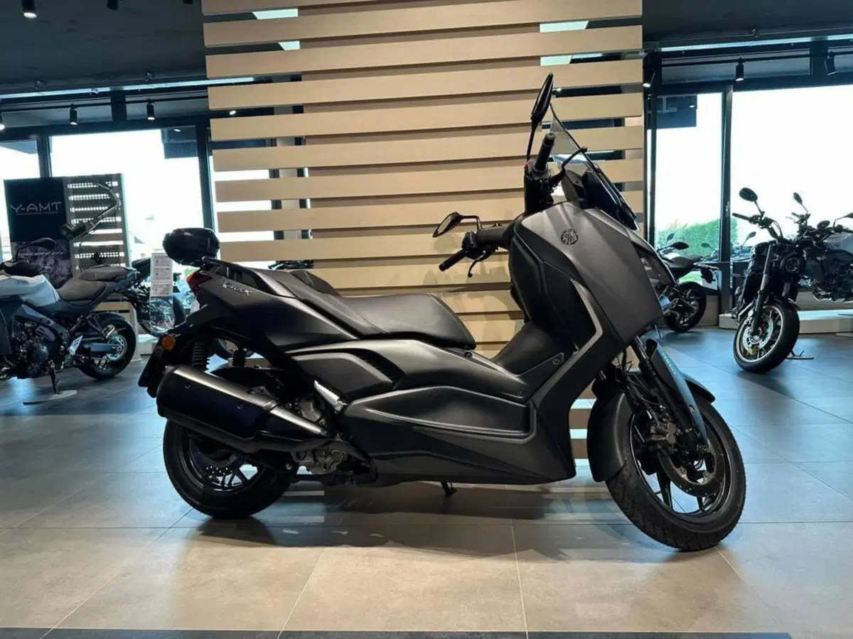 Yamaha X-Max 300 (2021 - 24) (4)