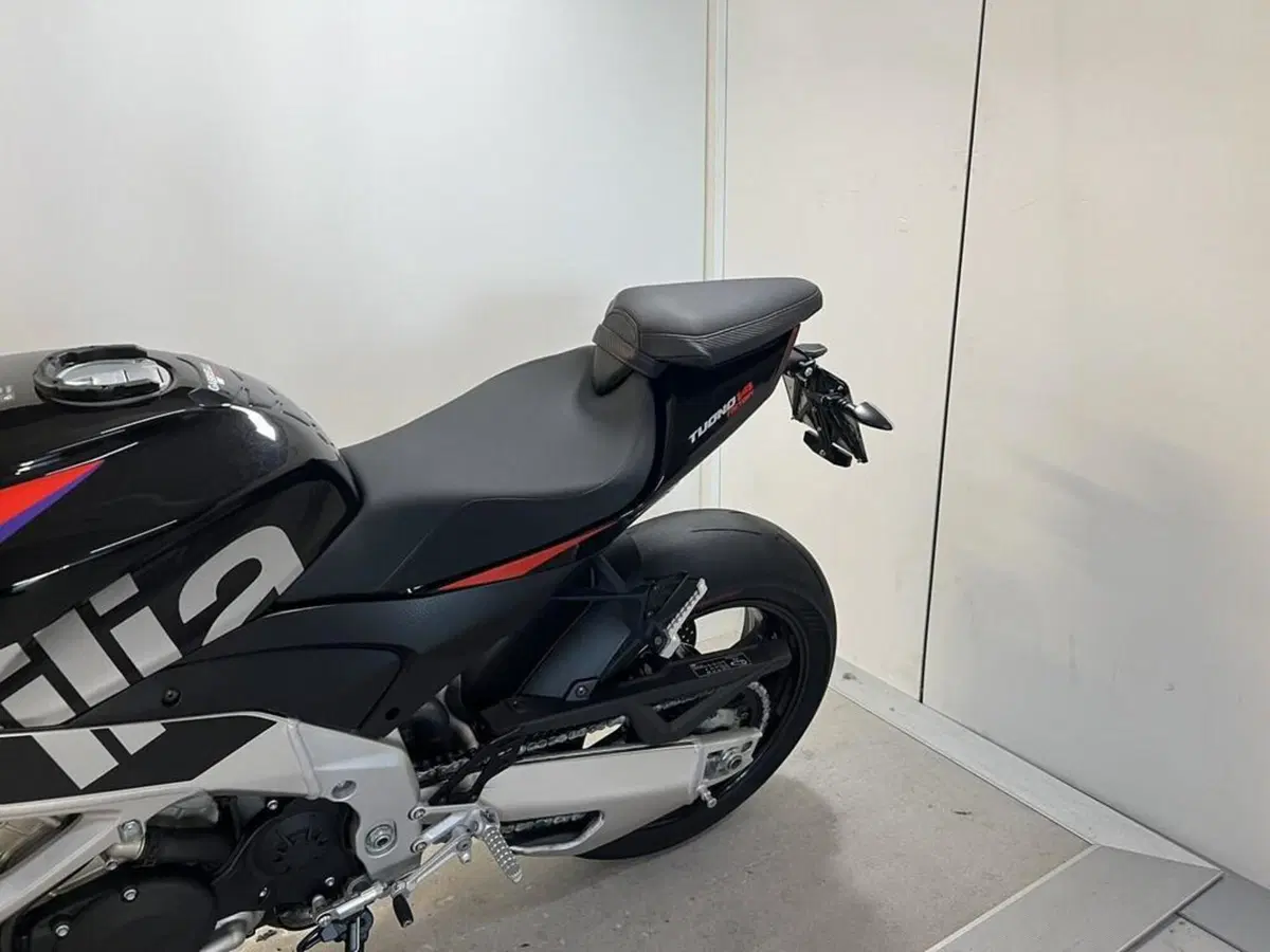 Aprilia Tuono V4 Factory (2021 - 24) (4)