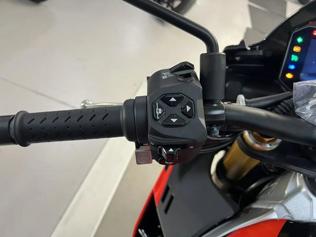 Aprilia Tuono V4 Factory (2021 - 24) (7)