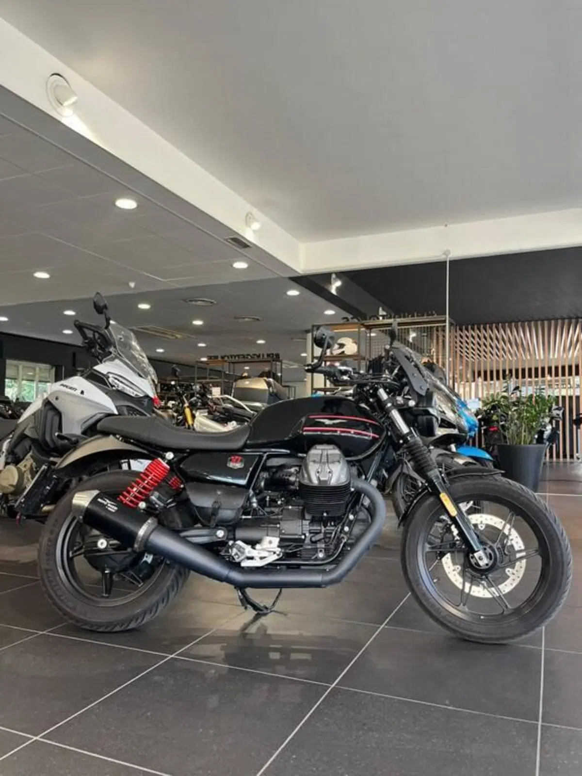 Moto Guzzi V7 850 Stone Special Abs (2021)