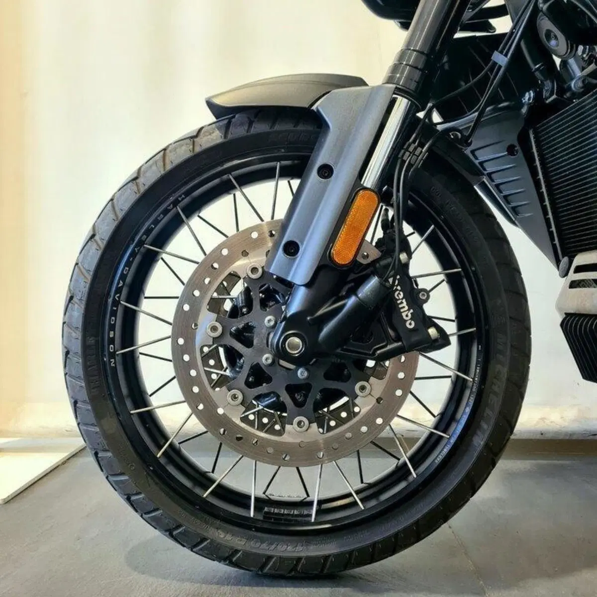 Harley-Davidson Pan America 1250 Special (2020 - 25) (7)