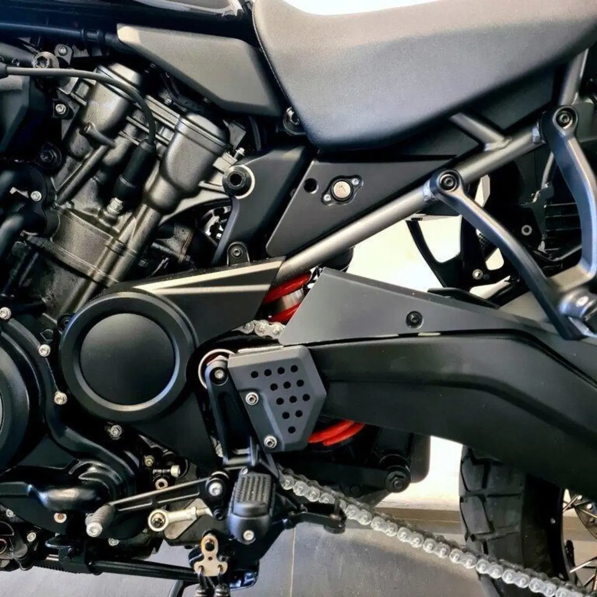 Harley-Davidson Pan America 1250 Special (2020 - 25) (11)