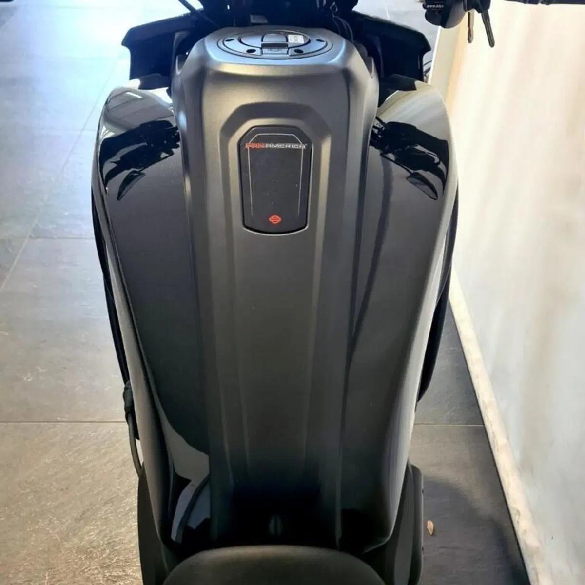 Harley-Davidson Pan America 1250 Special (2020 - 25) (6)