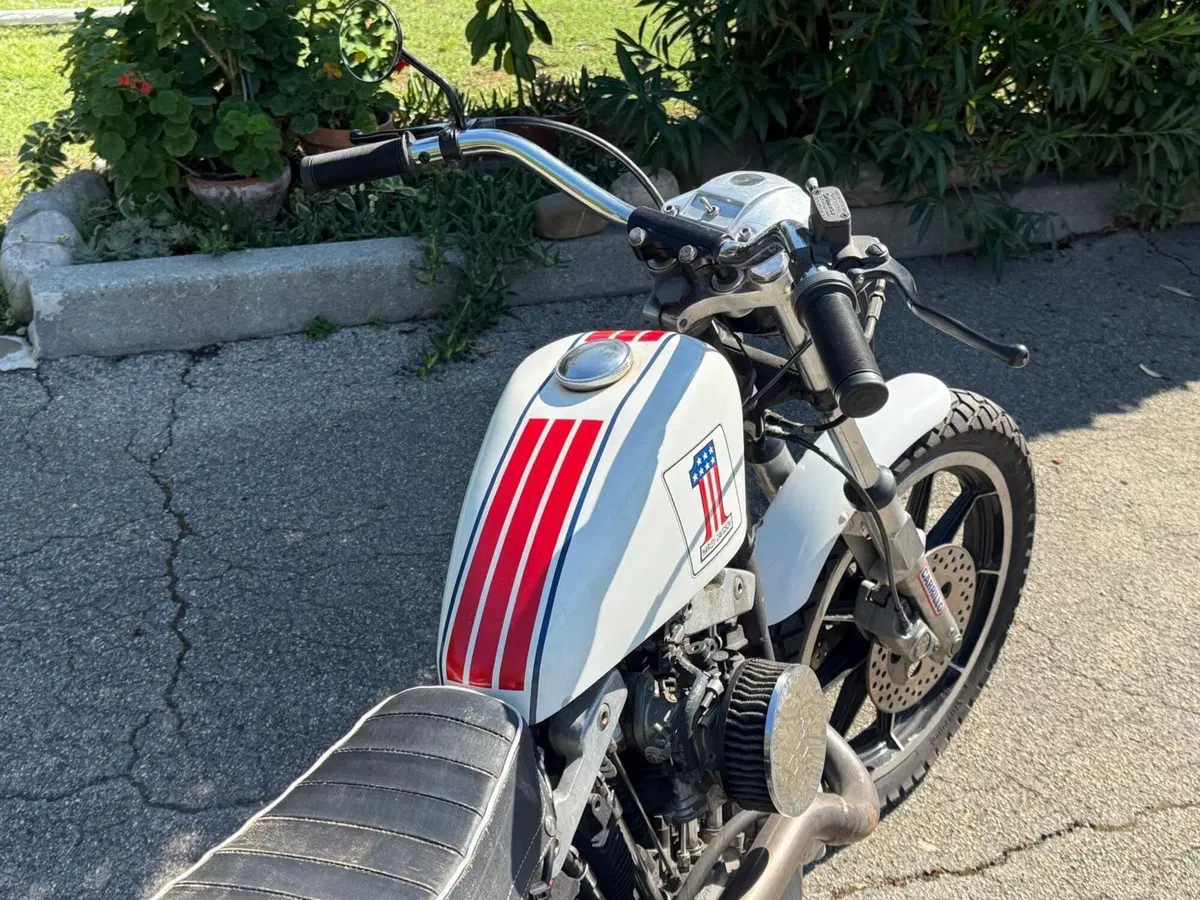 Harley-Davidson XLS 1000 Ironhead (2)