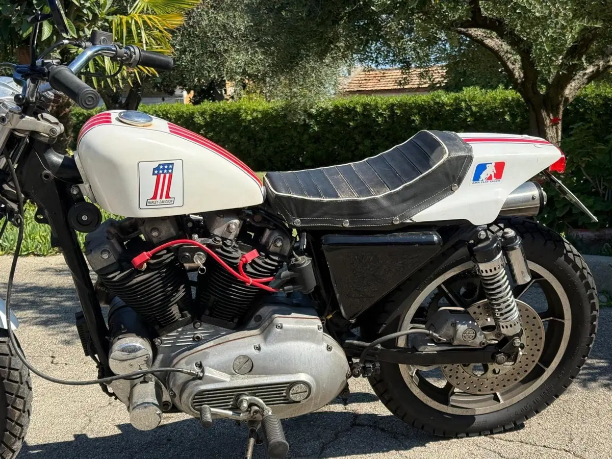 Harley-Davidson XLS 1000 Ironhead (3)