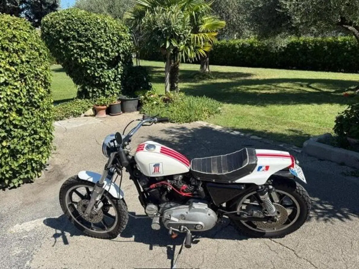 Harley-Davidson XLS 1000 Ironhead (4)