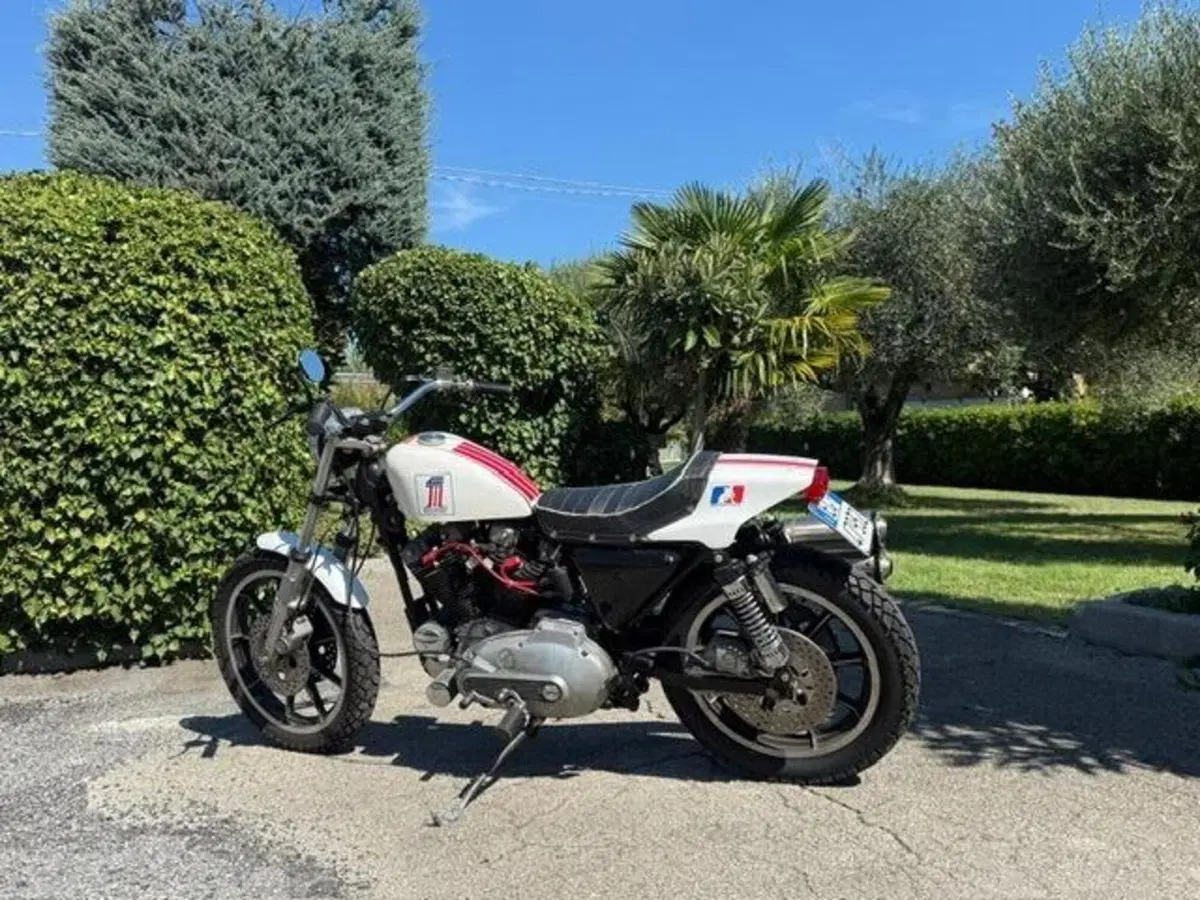 Harley-Davidson XLS 1000 Ironhead (5)
