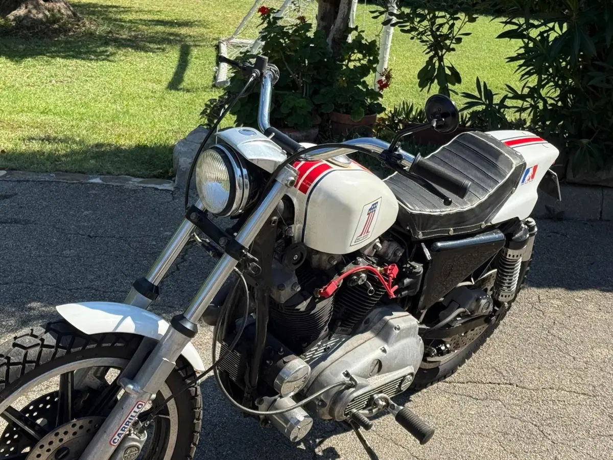 Harley-Davidson XLS 1000 Ironhead (6)