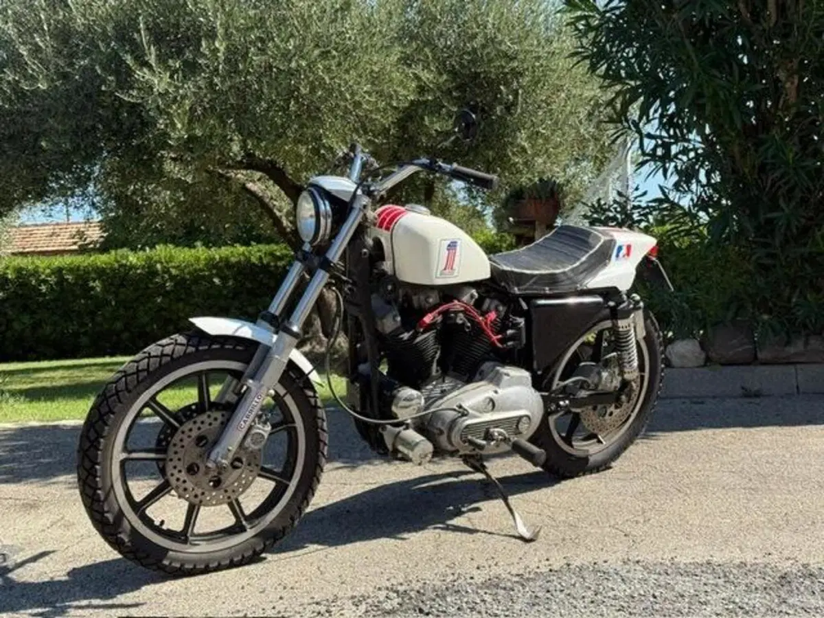 Harley-Davidson XLS 1000 Ironhead (7)