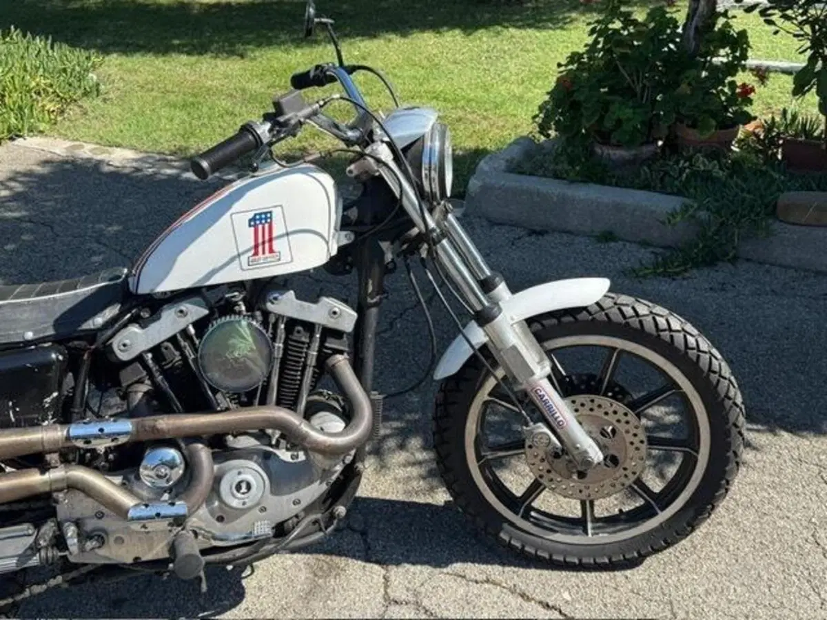 Harley-Davidson XLS 1000 Ironhead (8)