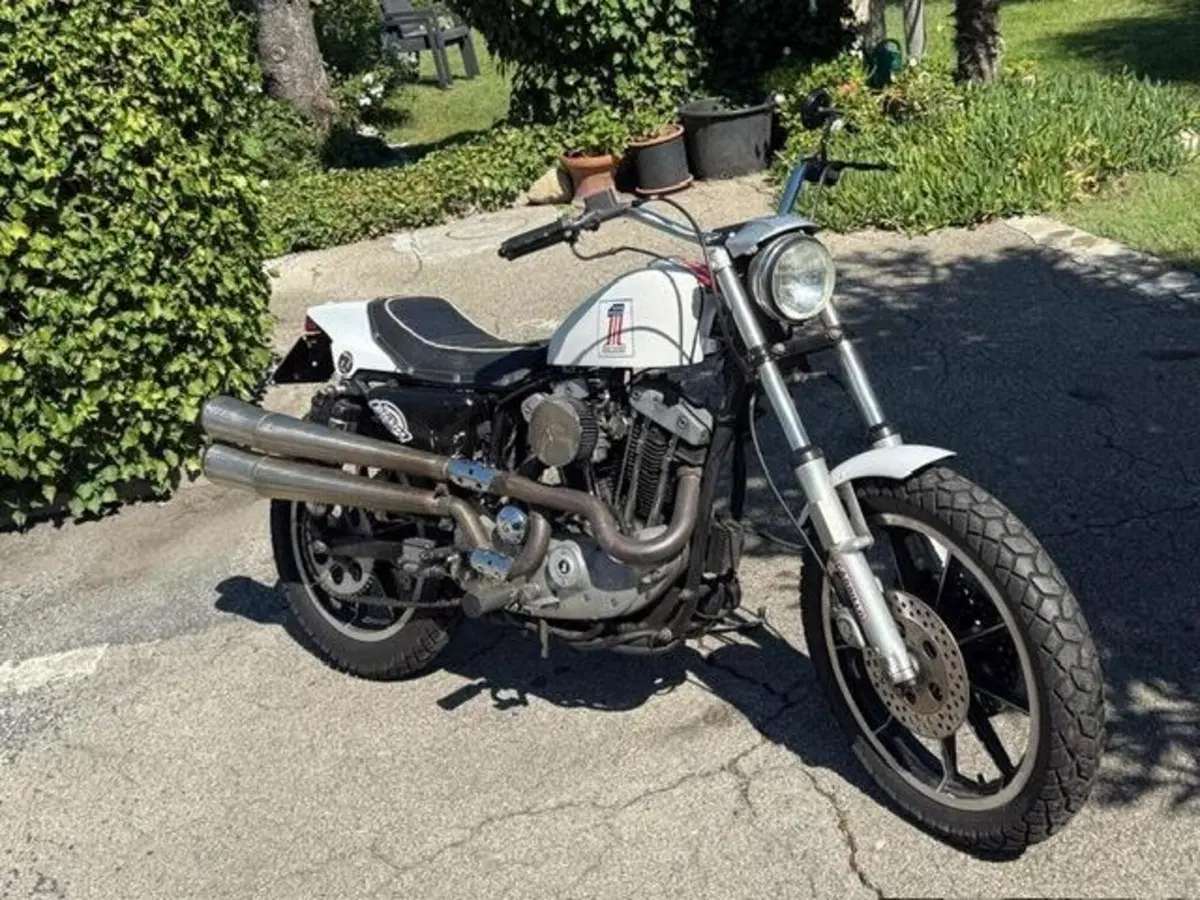 Harley-Davidson XLS 1000 Ironhead (9)