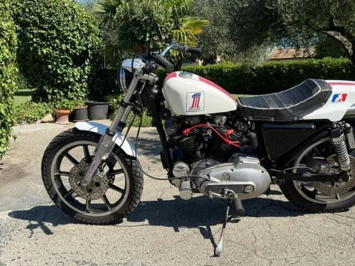 Harley-Davidson XLS 1000 Ironhead (12)
