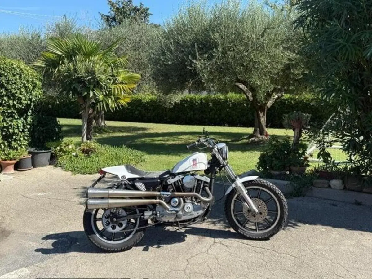 Harley-Davidson XLS 1000 Ironhead (13)