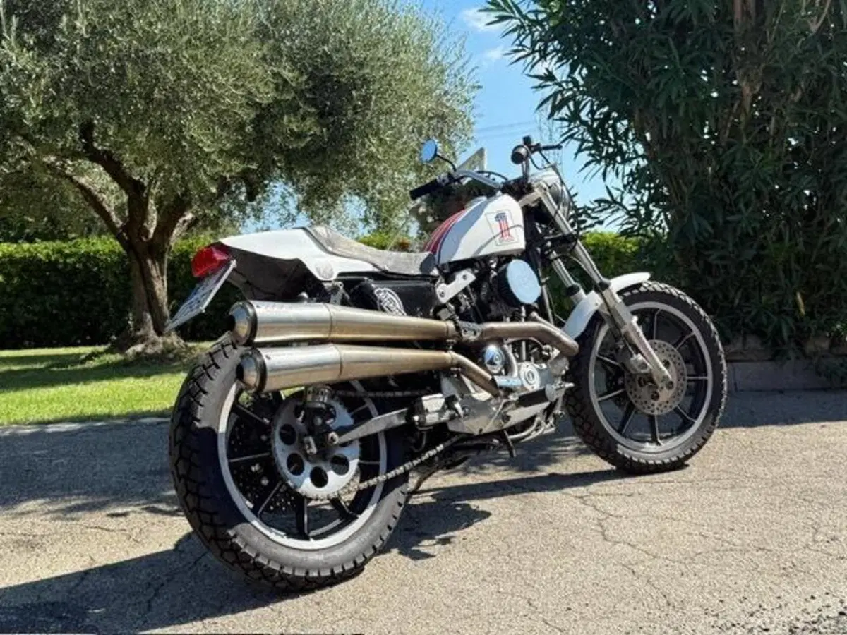 Harley-Davidson XLS 1000 Ironhead (14)