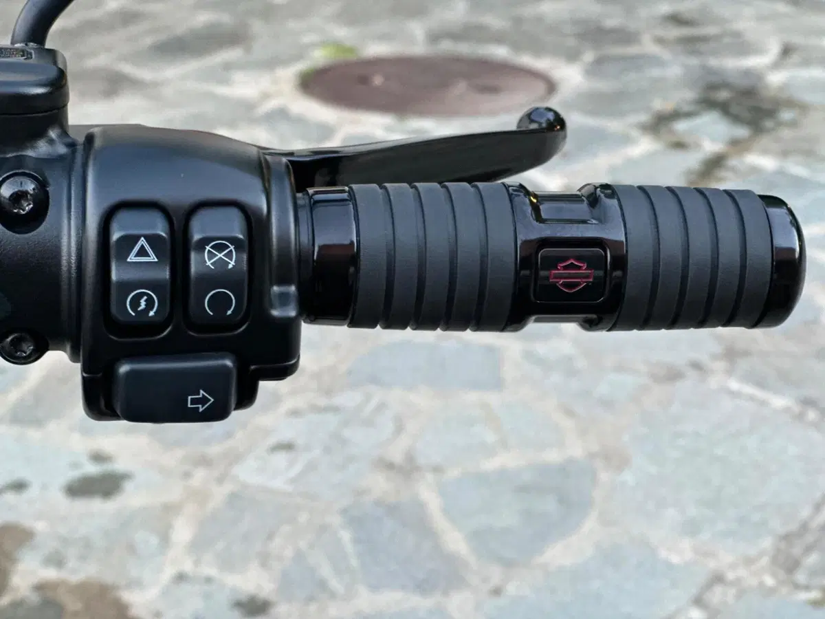 Harley-Davidson Fat Boy 114 Anniversary (2023) (5)