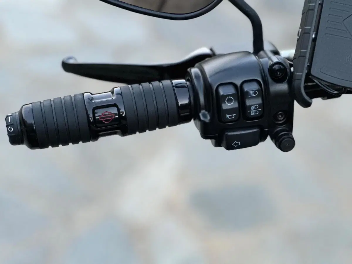 Harley-Davidson Fat Boy 114 Anniversary (2023) (6)