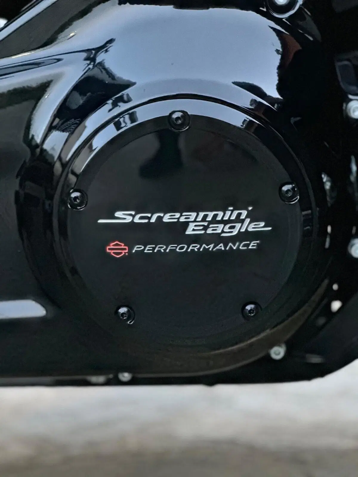 Harley-Davidson Fat Boy 114 Anniversary (2023) (7)