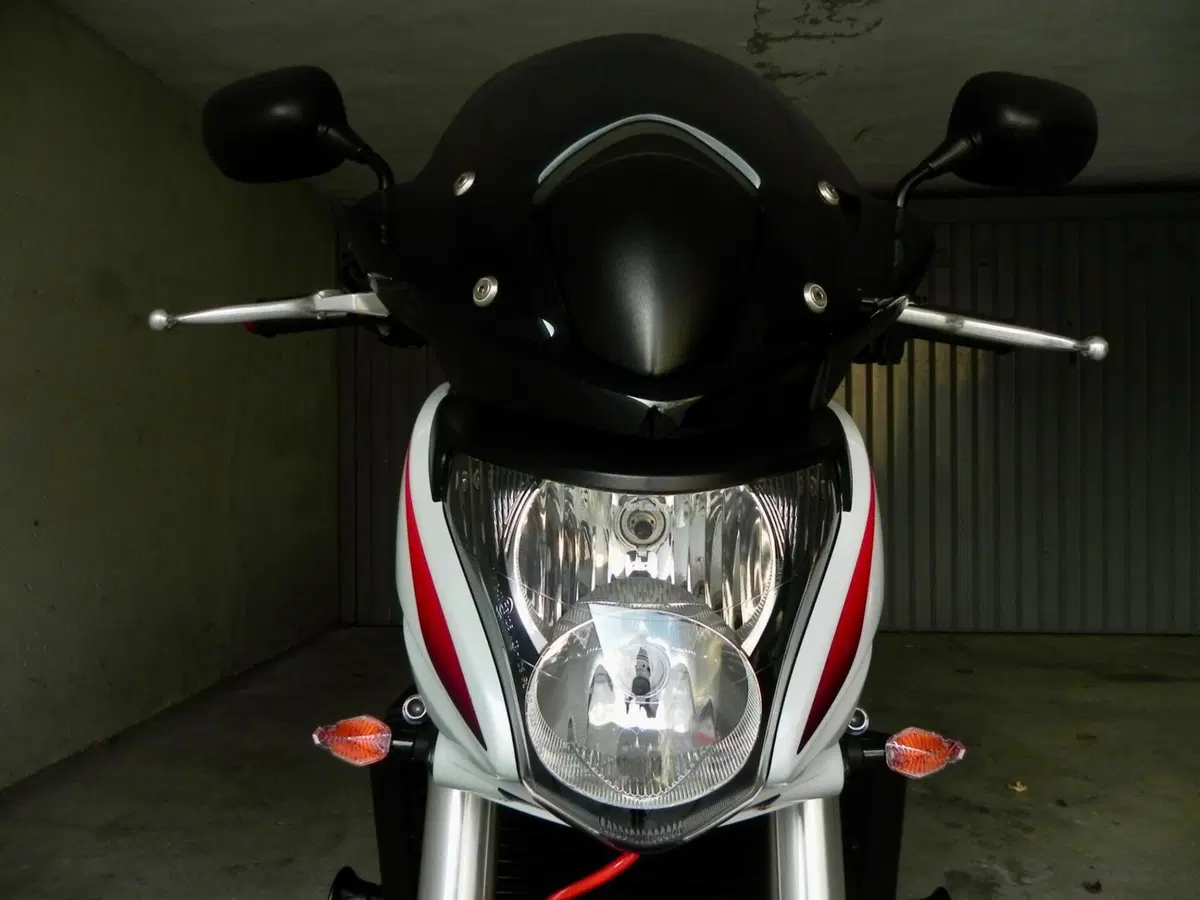 Honda Hornet 600 (2007 - 10) (4)