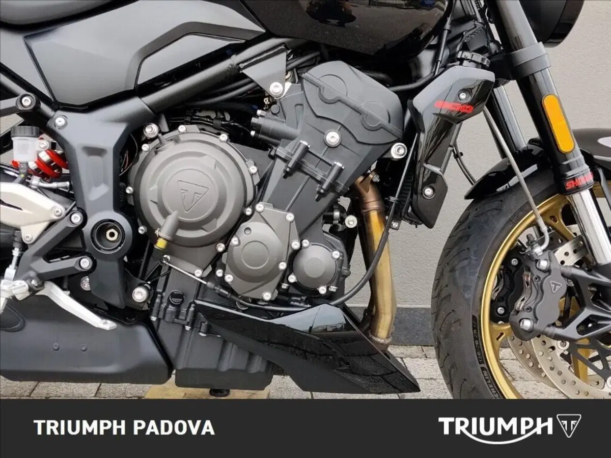 Triumph Trident 800 (2026) (3)