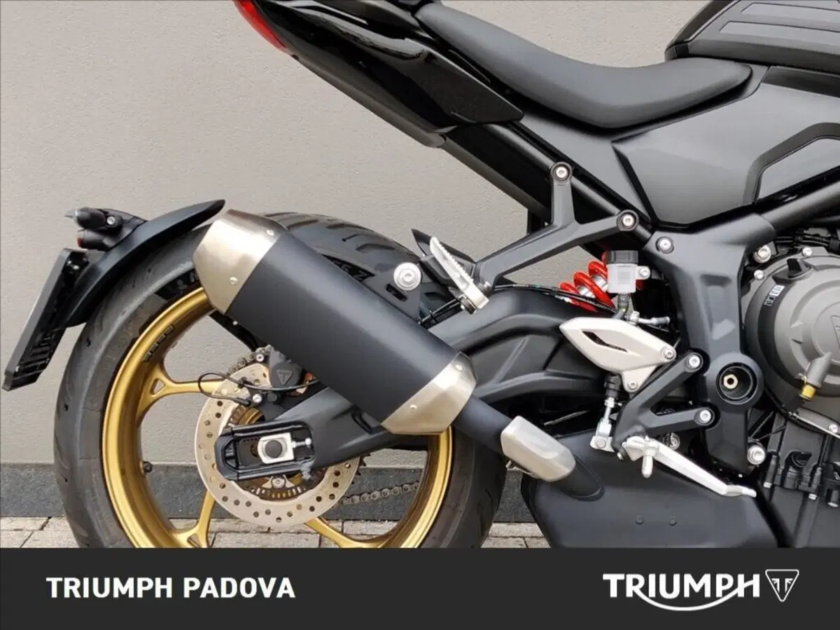 Triumph Trident 800 (2026) (2)