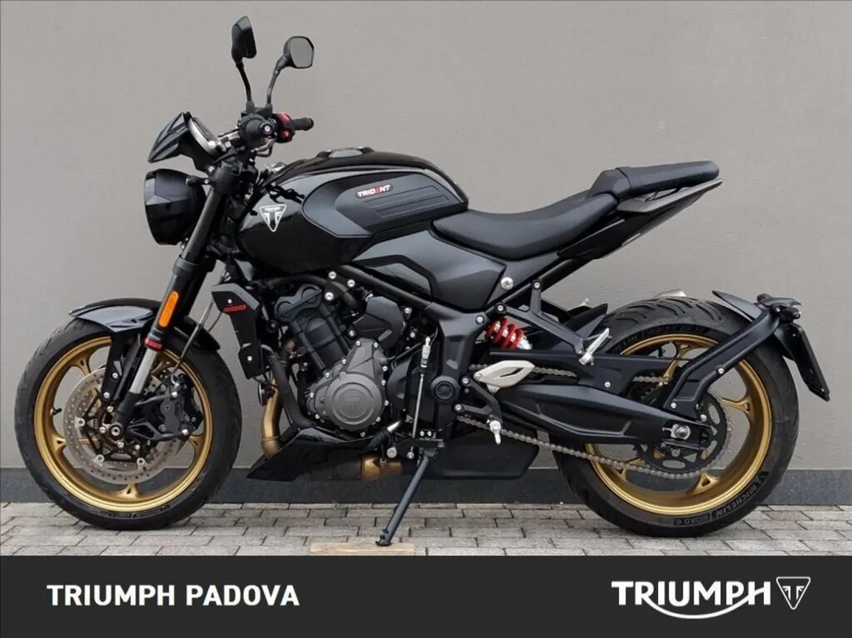 Triumph Trident 800 (2026) (6)