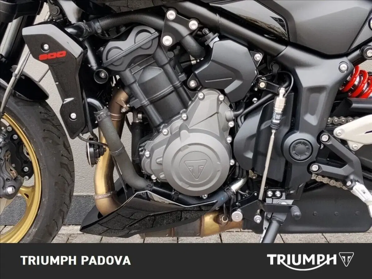 Triumph Trident 800 (2026) (8)