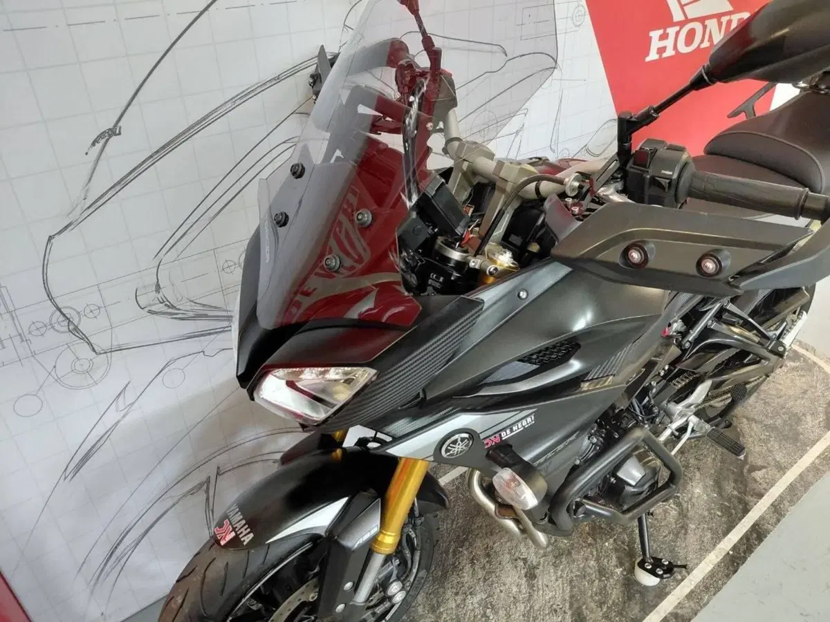 Yamaha Tracer 900 ABS (2017 - 18) (3)