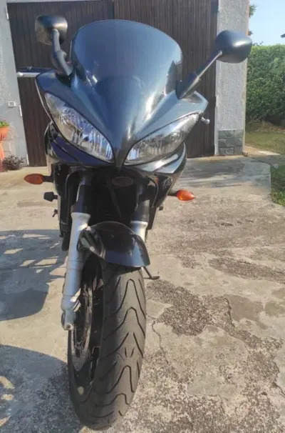 Yamaha FZ6 Fazer (2004 - 07) usata