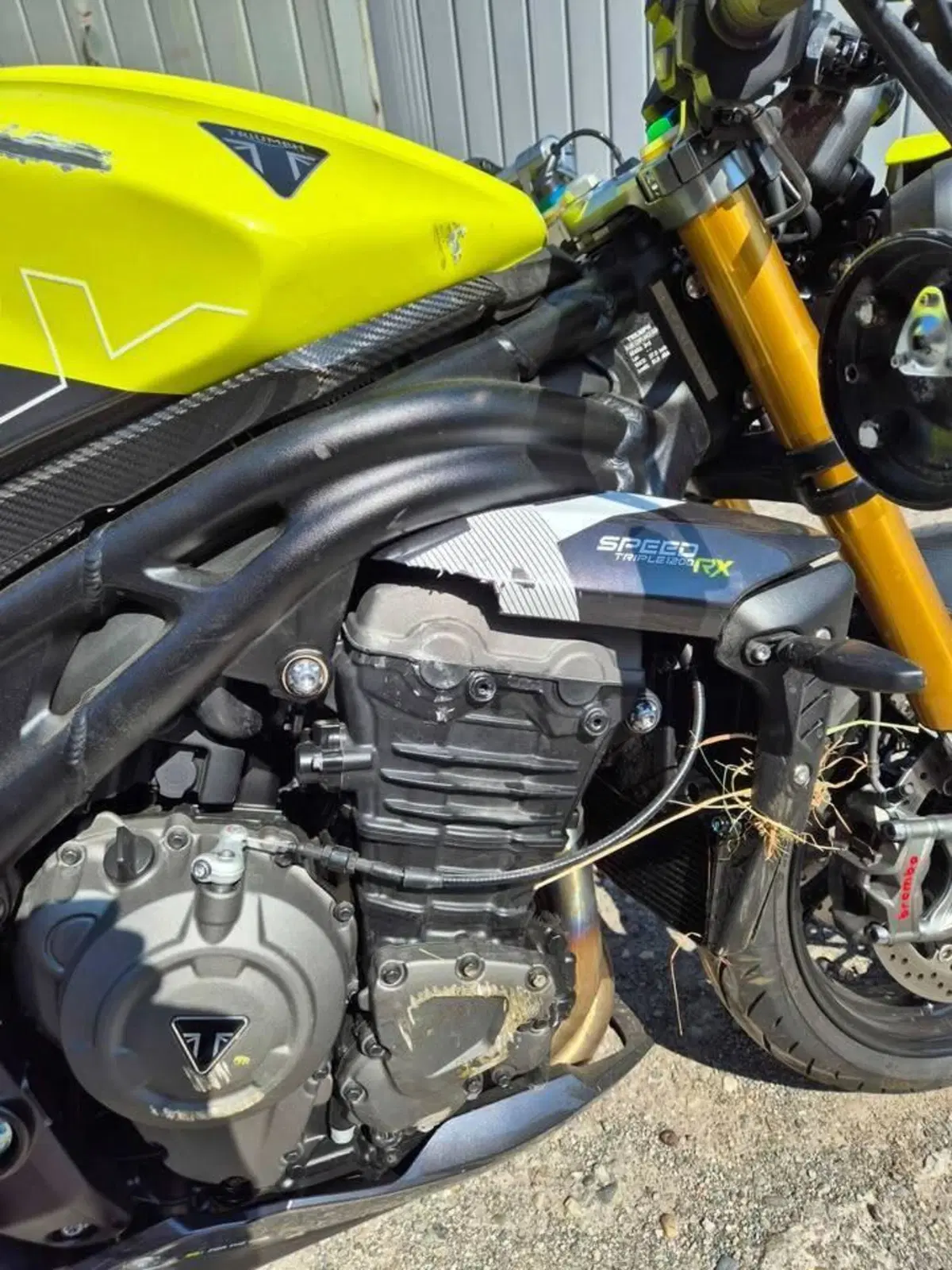 Triumph Speed Triple 1200 RX (2025 - 26) (6)