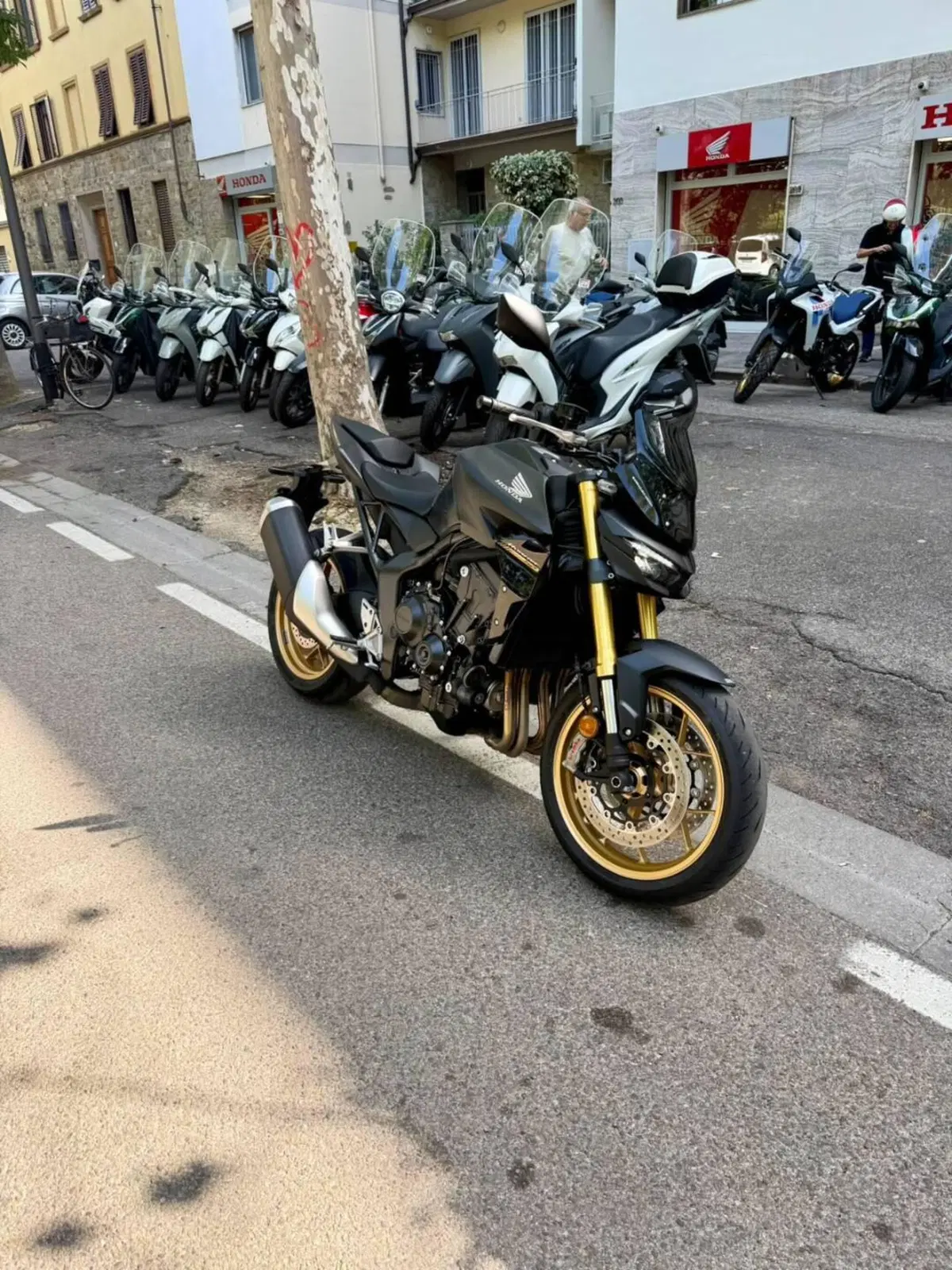 Honda CB 1000 Hornet SP (2025 - 26) (3)